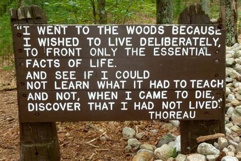 Thoreau believed that if life is lived in a hurry, it is a waste. Emerson vs thoreau nature essay