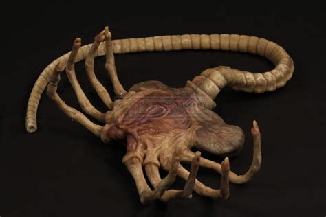 1/6 facehugger larva model alien animal predator insect for 12 figure action. The Prop Gallery | Facehugger
