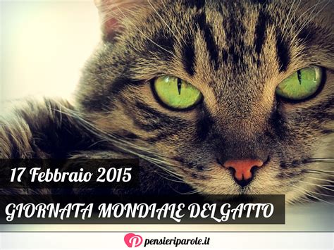 Si stima che la popolazione mondiale di gatti raggiunga i 600 milioni, con 7 milioni che vivono in italia! Giornata Mondiale del Gatto - PensieriParole magazine