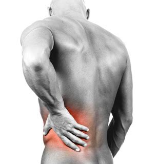 There was even a potential mechanism: Lower Left Back Pain In Women