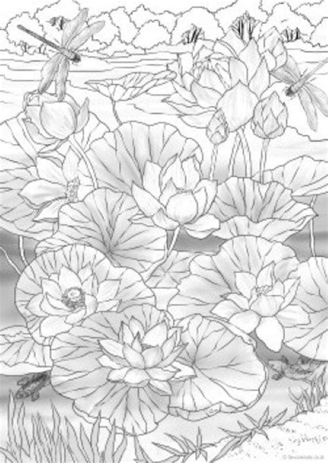 Printable water lily coloring page. Water Lilies - Printable Adult Coloring Page from ...