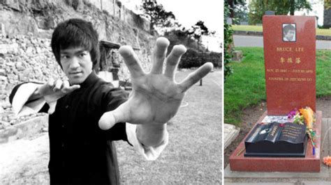 We did not find results for: Bruce Lee: Noch immer gibt es Spekulationen zu seinem ...