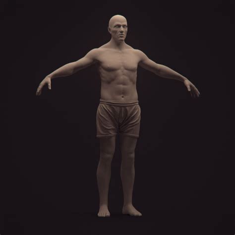 The anatomy of the spine and pilates benefits. Male Anatomy Study - YouTube