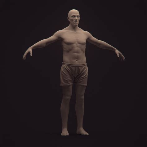 Free samples of various human poses. Male Anatomy Study - YouTube