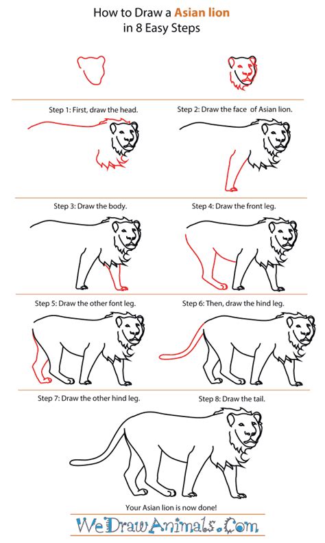 Hello dear novice artists, and welcome to howtodrawforkids and a new drawing guide about how to draw a lion for kids. Free How To Draw A Lion Step By Step, Download Free Clip Art, Free Clip Art on Clipart Library