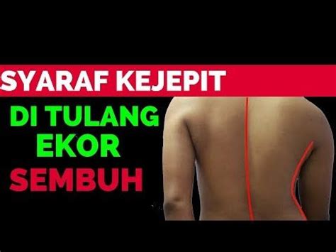 Sendi ini berperan penting dalam mengendalikan pergerakan tubuh 1. Sakit di tulang ekor jalan jadi miring - YouTube | Youtube ...