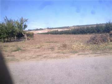 Villa kornelija, hotel u gradu stari slankamen. Prodaja zemljišta Inđija | Halo oglasi nekretnine