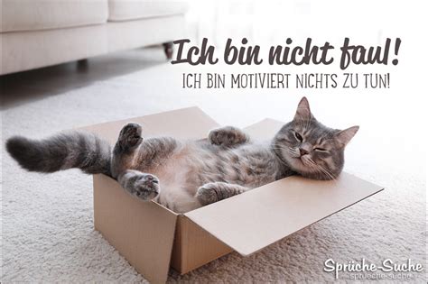 Onlineshop von nachdenkliche sprüche mit bilder, willy nachdenklich. Spruch mit Katze - faul sein - Sprüche-Suche