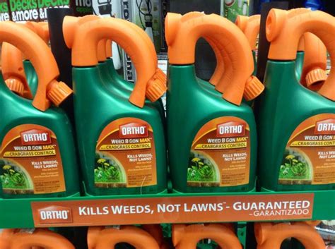 The solution used in these steps makes enough borax weed killer to treat 1,000 square feet of your lawn. How To Remove Creeping Charlie From Your Lawn - Simplemost