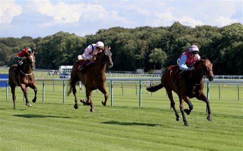 Tote placepot results and totesport totepool dividends. Fast horse racing results: Who won the 3.05 at Haydock ...