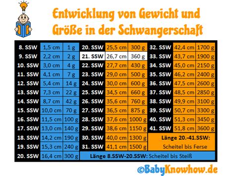 Ihr baby hat in der 21. 21. SSW: Video zum Ultraschall, Größe & Gewichtszunahme