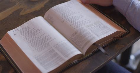 Maybe you would like to learn more about one of these? ESV Heirloom Study Bible | Free Delivery @ Eden.co.uk
