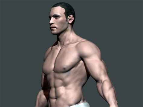 This is a high poly model of the male human figure with extremely accurate anatomy. - CGTrader.com