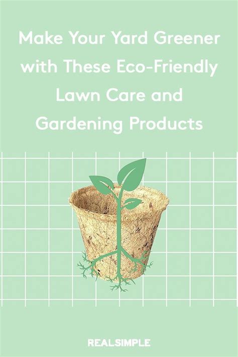 Now this is probably the most important part of an organic lawn care routine and will take a little bit of commitment. Make Your Yard Greener with These Eco-Friendly Lawn Care ...