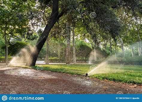 How long should you water to get one inch? Grass Watering In A Park In Summer Day In The Morning. Automatic Sprinkler Irrigation System ...