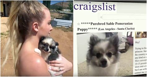 Selling on craigslist is one way for you to make extra money while getting rid of stuff that doesn't serve you anymore. Man Sells His Girlfriend's Puppy On Craigslist While She's ...
