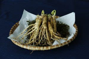 Kaufen sie beste potenzmittel generika rezeptfrei im online shop günstig und diskret. Ginseng Potenz - So wirkt die Heilpflanze - Potenzmittel ...