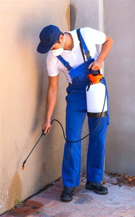 We provide residential and commercial pest and termite control to collin county including the following cities: Guaranteed Pest Control - South Houston, Tx | Big Dave's