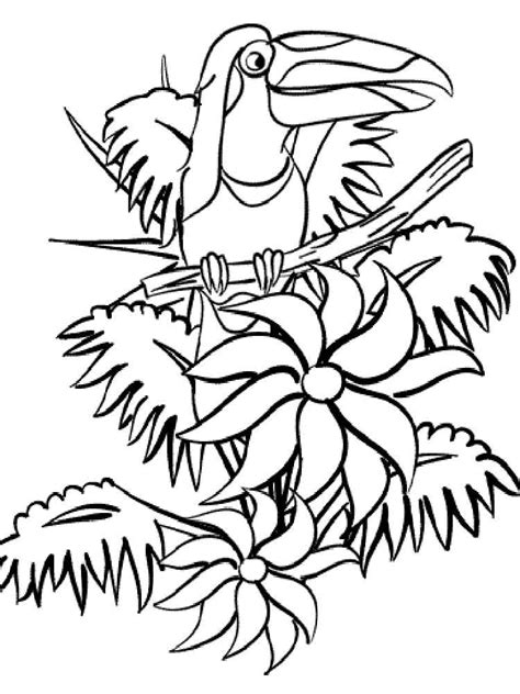 Check out our toucan coloring page selection for the very best in unique or custom, handmade pieces from our digital shops. Toucan coloring pages. Download and print Toucan coloring pages