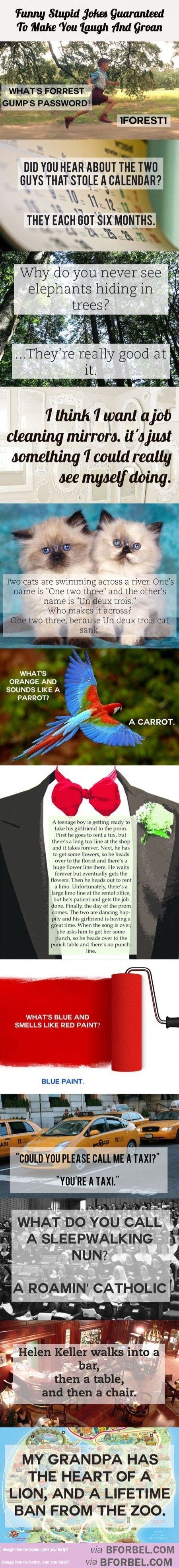 Check out these good jokes in the next big. 12 Funny And Stupid Jokes That Will Make You Laugh And ...