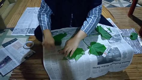 Get started on 3d warehouse. Herbarium Kering Daun Jarak Pagar - YouTube