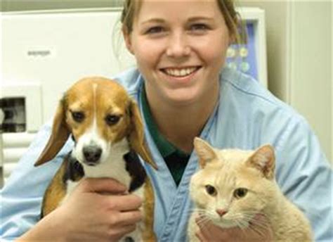 The veterinary assistant is a key member of the hospital team who supports and assists the veterinarians and veterinary technicians, ensuring the safety of pets, clients and other associates, and the continuity of quality veterinary care. Veterinary Assistant Job Description : veterinary ...