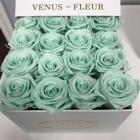 They are real roses, last a year and look gorgeous!! The Ultimate Venus Et Fleur Guide - TRENDS U NEED TO KNOW ...