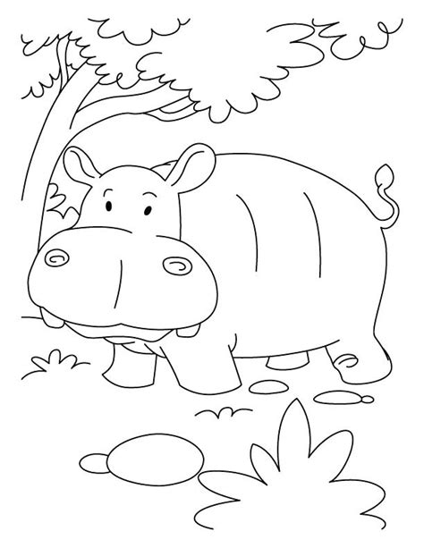 Little kinder club coloring for kids. Hippo Coloring Pages at GetDrawings | Free download