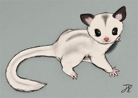 05.05.2019 · easy cute hybrid animals drawings hybrid animal photoshop tutorial youtube 18 hybrid animals that are hard to believe are real bored panda the mixed up world of hybrid animals science news for students 49 strange animal hybrids bred in photoshop bored panda. Sugar Glider by LolieFeather on DeviantArt (With images ...