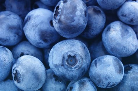 1280 x 853 jpeg 91 кб. Blueberries Free Stock Photo - Public Domain Pictures