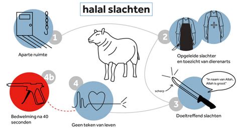 Islam stack exchange is a question and answer site for muslims, experts in islam, and those interested in learning more about islam. Onzekerheid of vlees halal is bij eerste Offerfeest met ...