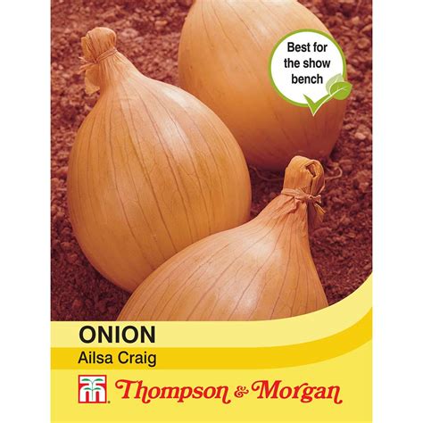 Ailsa craig onion seeds 1840 heirloom vegetable. ONION AILSA CRAIG - THOMPSON & MORGAN - Stratford Garden ...