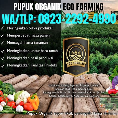 Harga ayam potong di indonesia masih cenderung fluktuatif dan tidak stabil. HARI INI_0823*2292*4990. PRODUSEN eco farming untuk kelapa ...