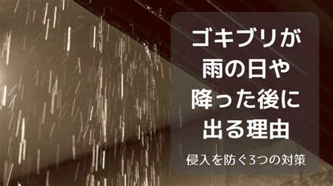 The site owner hides the web page description. 雨の日や降った後にゴキブリが家に出る理由と侵入を防ぐコツ