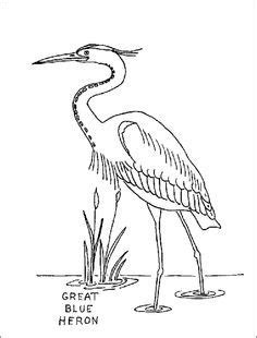 Herons, egrets, bitterns coloring page. Great Blue Heron Coloring Page | Bird coloring pages ...