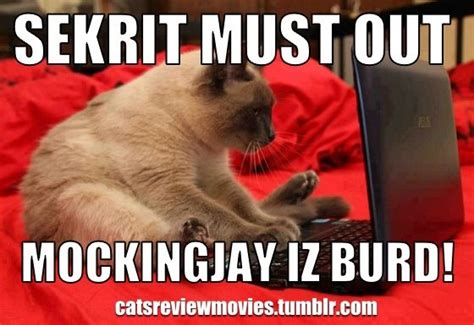 Movies, tv, celebs, and more. Cats Review Movies: The Hunger Games: Mockingjay - Part 1 ...