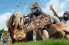 zoo animals comedy cbbc ran if life different series tv