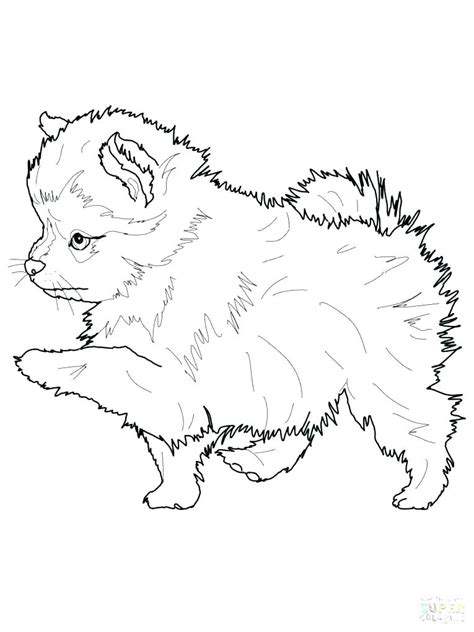 Maybe you would like to learn more about one of these? Husky Coloring Pages at GetColorings.com | Free printable ...