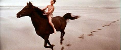 As one breeder says, they are art mixed. The Black Stallion movie review (1979) | Roger Ebert