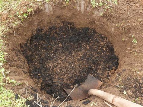 These are your plums and apricots, which can live and thrive in clay because of their shallow root structure. How To Amend Clay Soil For Fruit Trees