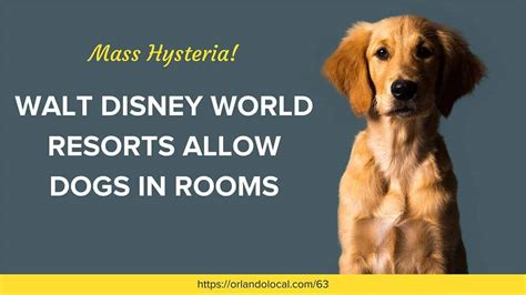Can dogs stay in Disney hotels? 2
