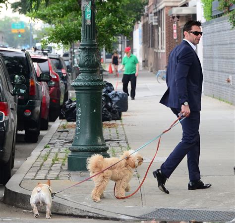 This is a one hour dog park walk for your dog that loves to socialize! Hugh Jackman Walking His Dogs in a Suit in NYC | POPSUGAR ...