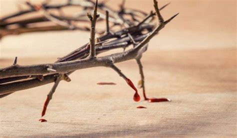 Il motivo di sì copiose e dolorose effusioni non va ricercato nella necessità di salvare il mondo, perché. Preziosissimo Sangue di Gesù: preghiera da recitare oggi ...