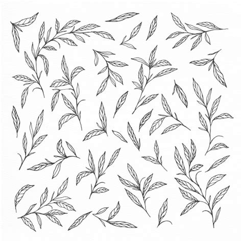 Hand drawn vintage leaves, arrows, feathers, wreaths, dividers, floral seamless pattern with hand drawn flowers. Hand drawn leaves and branches collections | Free Vector