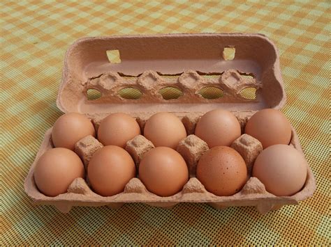 Easy to make, eggs baked in a bread basket in muffin tins are also convenient to eat out of hand. Egg carton - Wikipedia