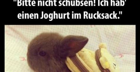 Selbst die miesesten schubser haben den joghurt im rucksack respektiert und nicht mehr geschubst. Bitte nicht schubsen! Ich habe einen Joghurt im Rucksack ...