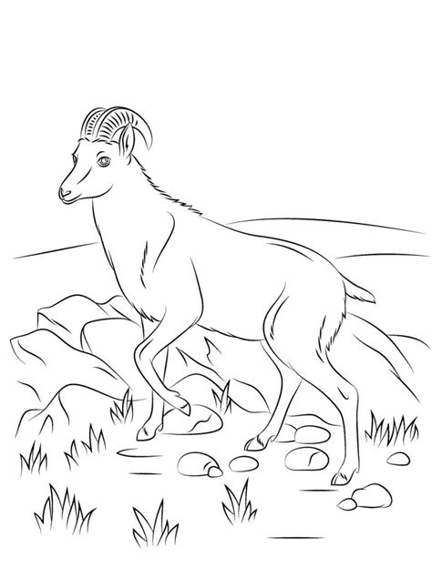 Farm animal coloring pages baby coloring pages tree coloring page coloring books coloring sheets outline drawings art drawings drawing download or print surprised goat coloring pages for free plus other related goat coloring page. Free Printable Goat Coloring Pages For Kids