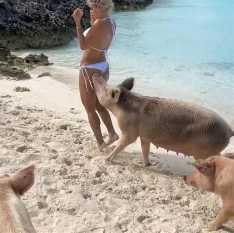 Video porno extreme zoophilie avec un cochon. Une vedette d'Instagram se fait mordre les fesses par un ...