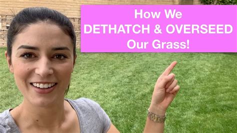 Continuing the process of the fall lawn renovation and overseeding process is step 2 and that is how to dethatch a lawn. How We Dethatch & Overseed Our Grass! - YouTube