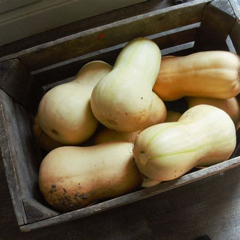 You may freeze grated zucchini without blanching. How to Freeze Squash